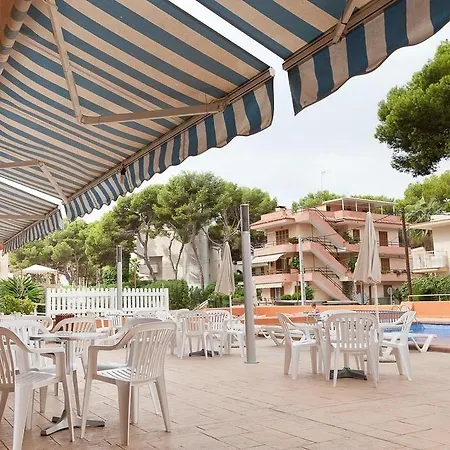 Vibra Palma Cactus Hotel