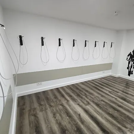 Vibra Palma Cactus 4*