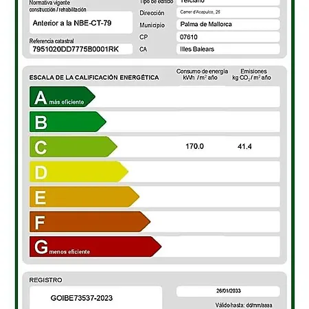 Vibra Palma Cactus 4*