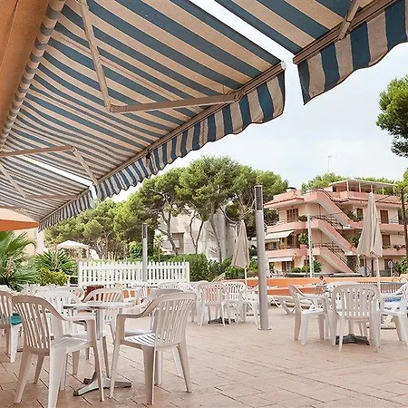 Vibra Palma Cactus 4*
