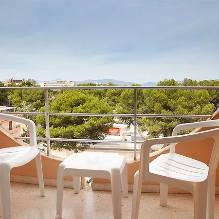 Vibra Palma Cactus Otel