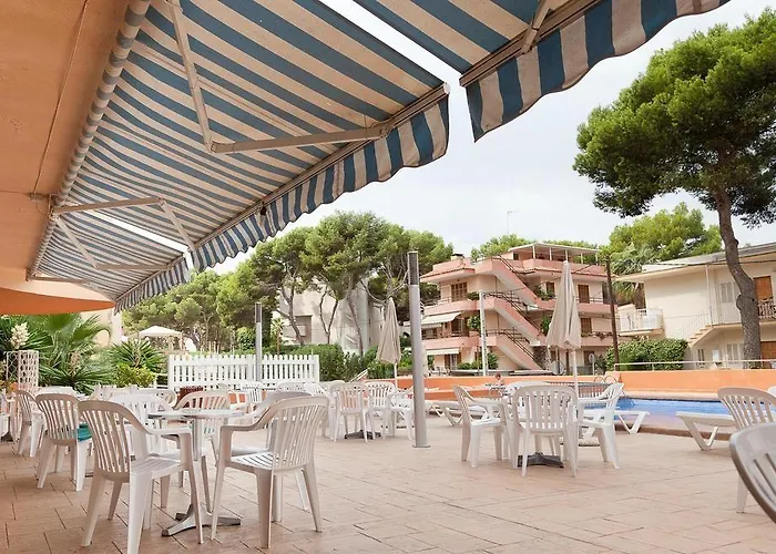 Vibra Palma Cactus Hotel