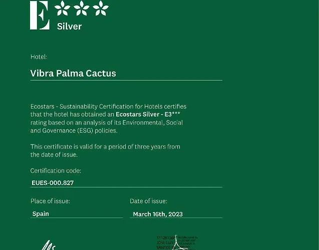 Vibra Palma Cactus Плайя-де-Пальма