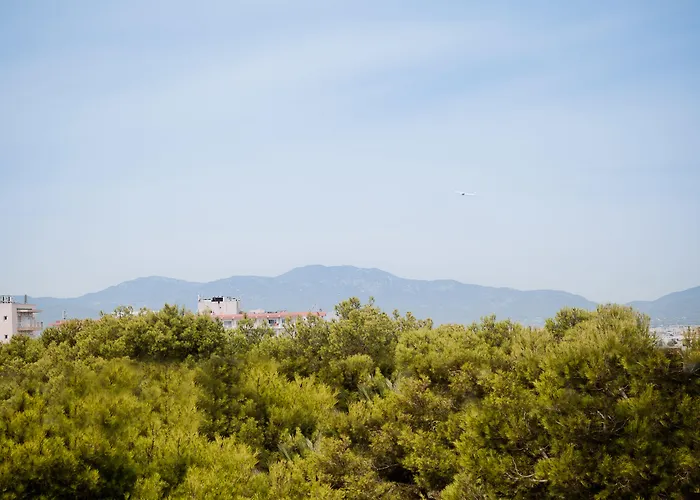 Vibra Palma Cactus Hotel