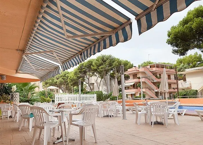 Vibra Palma Cactus 4*