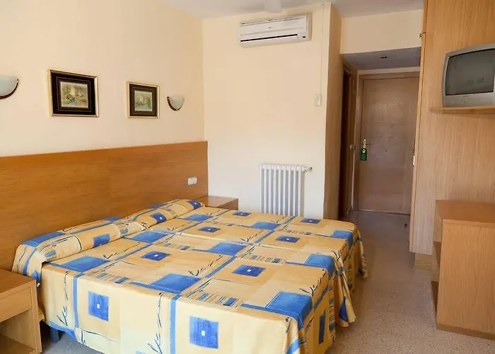 Vibra Palma Cactus 4*